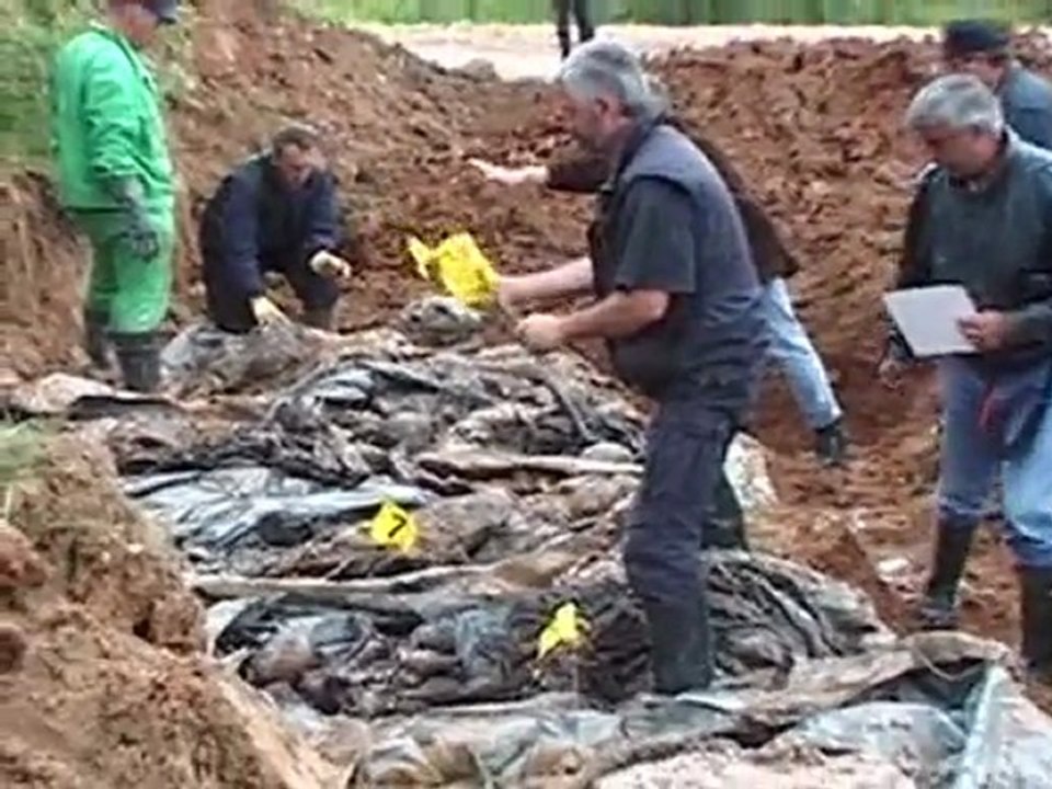 Mladic in Händen der UN-Justiz – erste Anhörung am Freitag