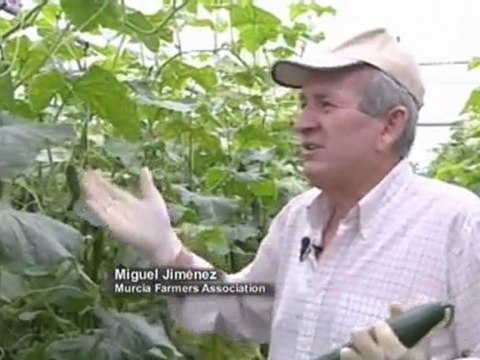 More German E. coli cases as Spain considers legal action