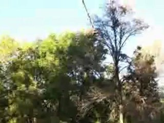 35 nutshots in 90 seconds