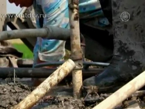 В КНР фермеры и рыбаки страдают от сильной засухи