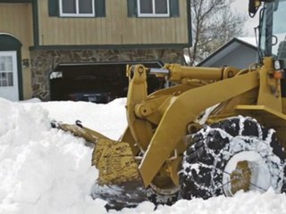 Gartenpflege Gelsenkirchen Thomas Sendt
