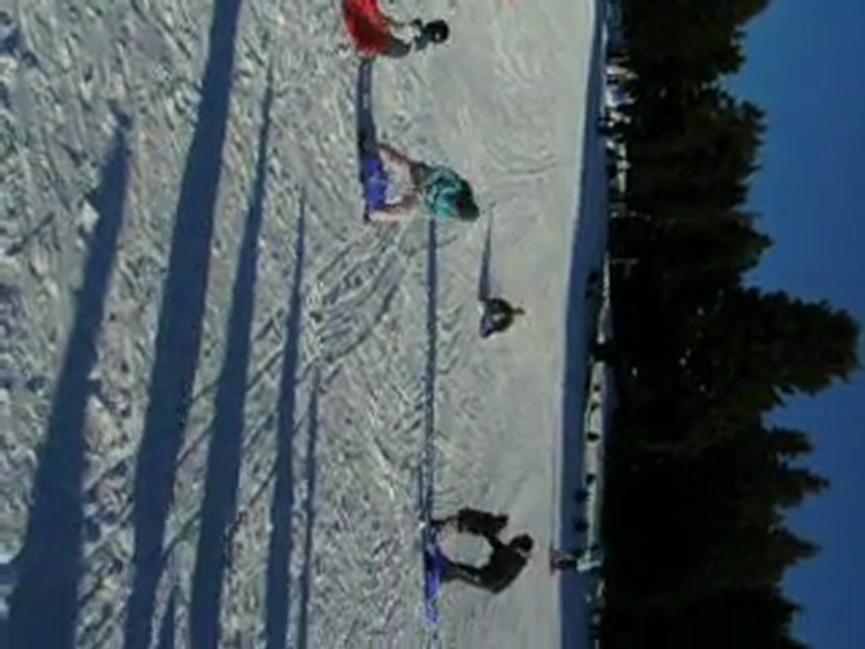 F1 luge