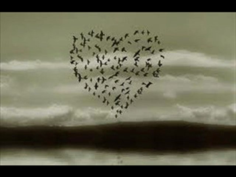 fundyy ft akıbet bakmam ardımdan 2010