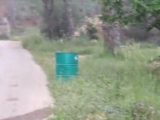 Amiouni Cedars Rally http://www.mmsrally.com