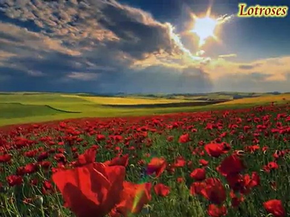 Severim Ben Seni-Kervansaray [NeY]