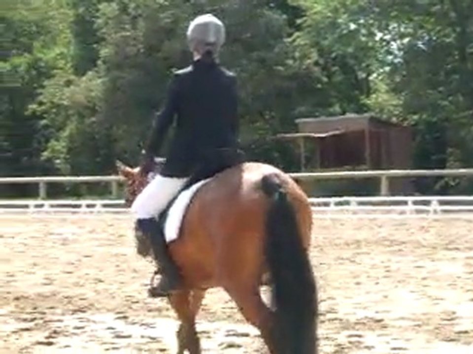 Surpri& Marie Boutet 1er concour (concour d'élevage) DRESSAGE