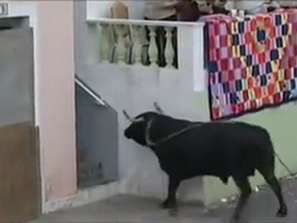 TORO