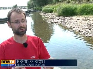 Sécheresse : le débit de la Loire au ralenti