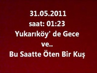 Yukarıköy' de Gece Öten İlginç Kuş