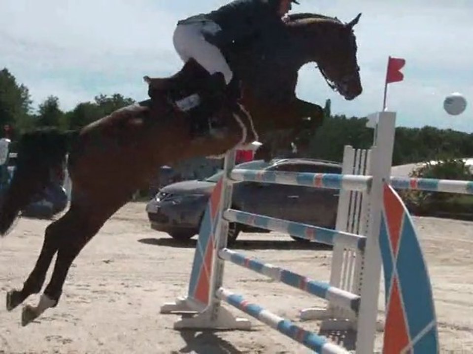 29.05.2011.zh.CSI.3etoiles.borry