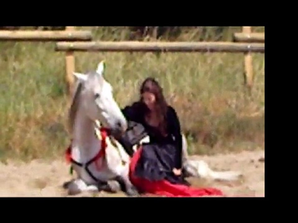 Mearas spectacle équestre voltige cosaque et liberté