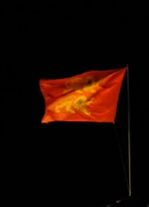 2011 Mai Cherbourg (3)