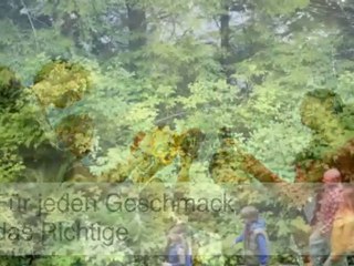 Rahmenprogramme Westerland Sylt Incentives Confetti