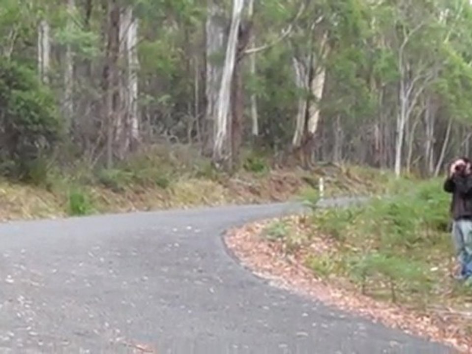 Shooting Cars - Targa Tasmania 2011
