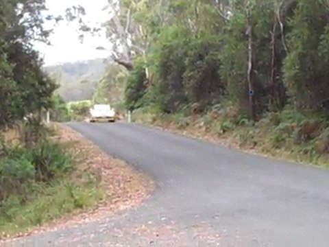 Porsche 911 - Targa Tasmania