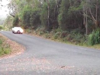 Ford Falcon XC Cobra - Targa Tasmania 2011