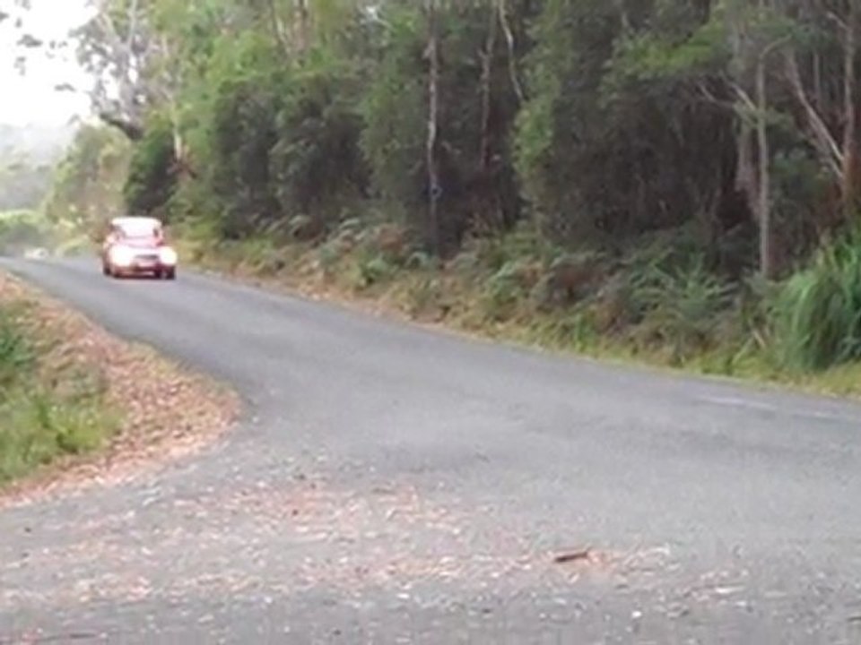 Classic Cars - Targa Tasmania 2011