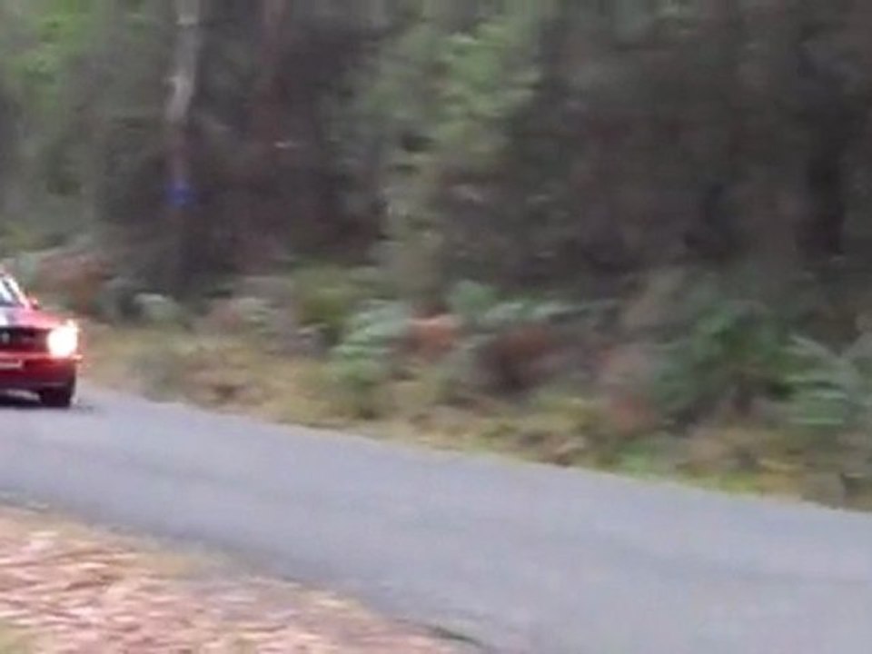 Ford Mustang - Targa Tasmania 2011