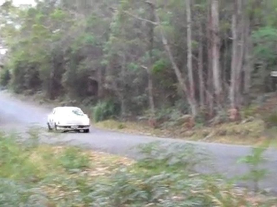 Holden Commodore 1980s Model - Targa Tasmania 2011
