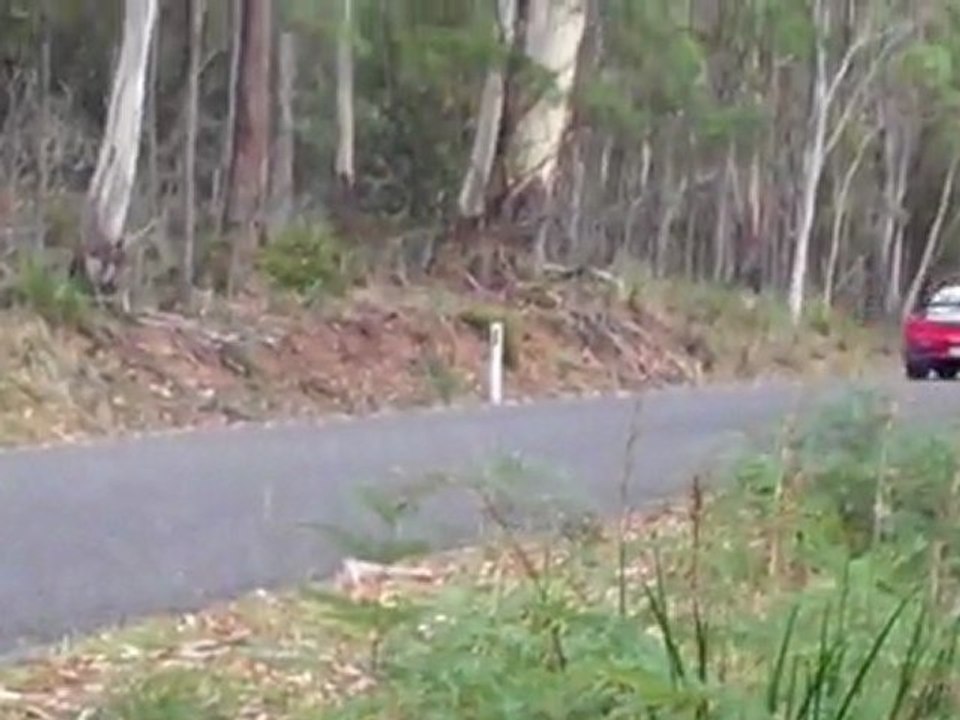 Skyline Nissan - Targa Tasmania 2011