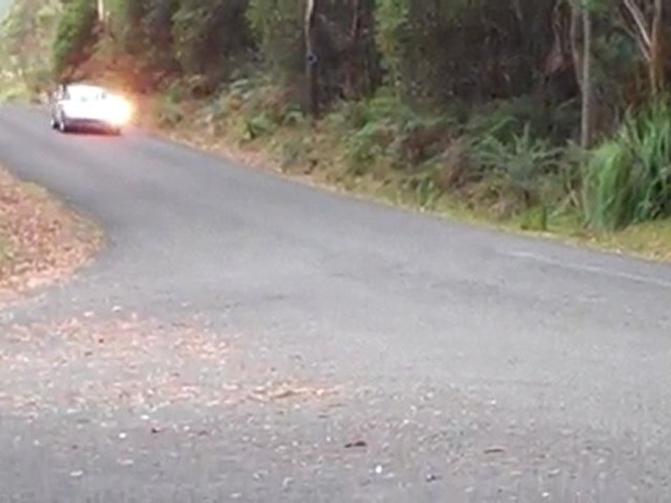 Porsche 911 Car Rally - Targa Tasmania
