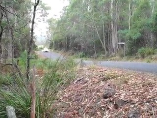 Mitsubishi Lancer Fast - Targa Tasmania 2011