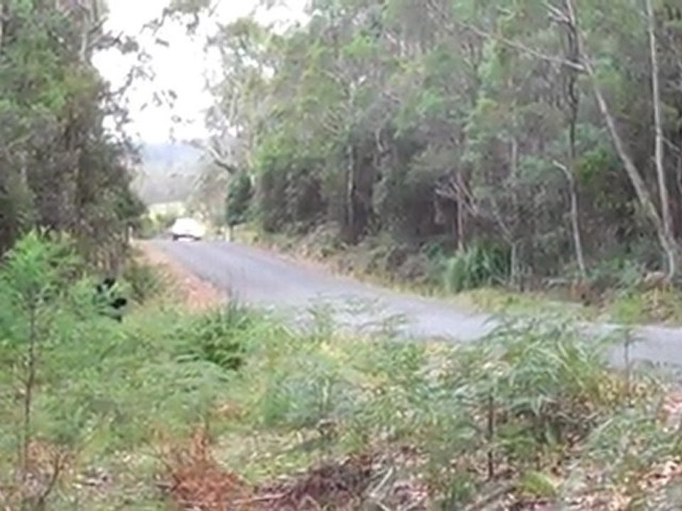 Holden Torana Fast and Loud - Targa Tasmania 2011