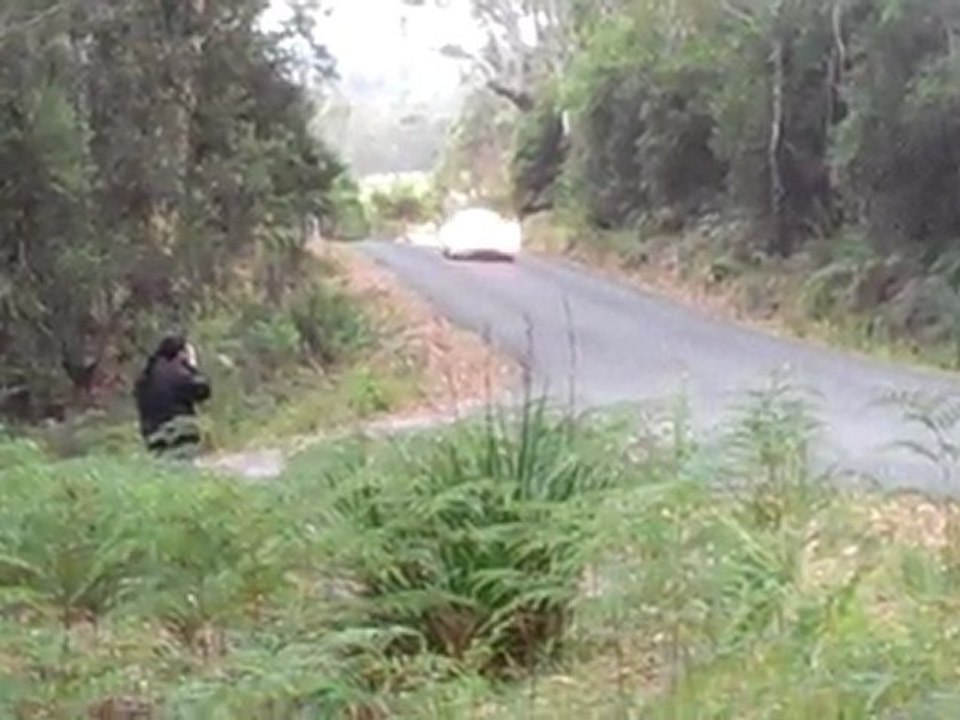 Porsche 911 - Targa Tasmania 2011