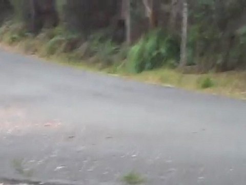 Fast Fast Cars - Targa Tasmania 2011