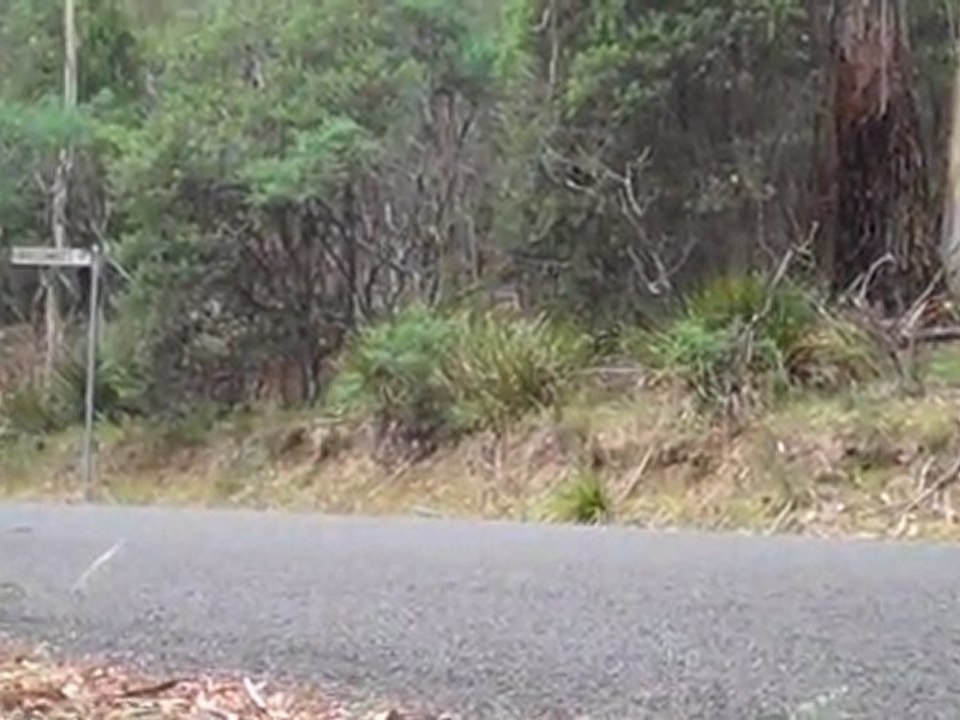 Sportscar - Targa Tasmania 2011