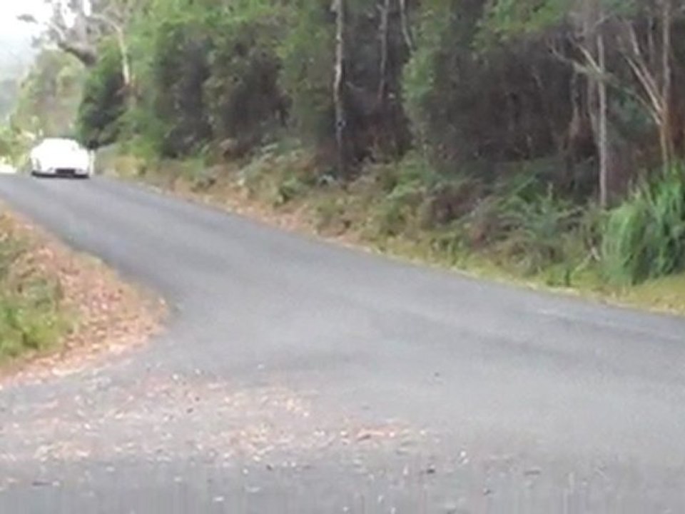 Porsche at Targa Tasmania 2011 Car Rally