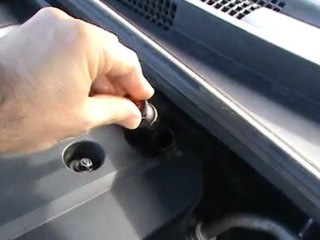 Car Auctions North Shore Auckland | The Car Guy NZ