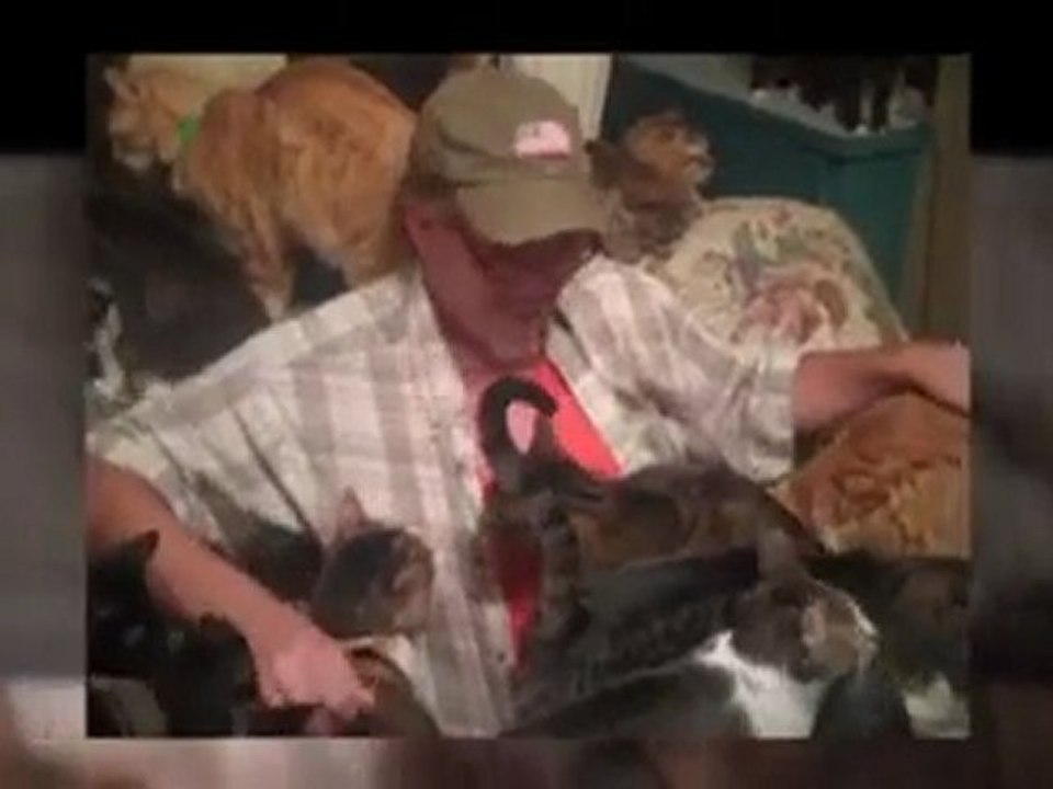Meow means I love you