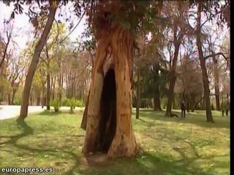 Las alergias se disparan en junio