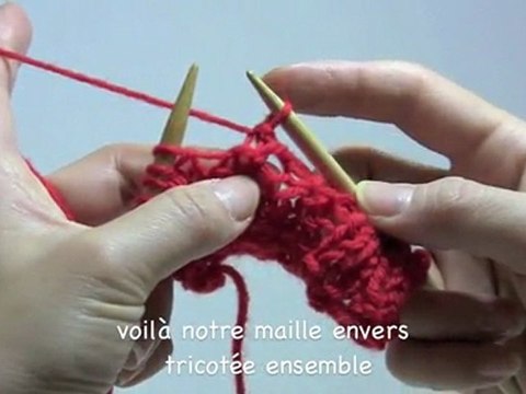 De fil en aiguille 08 - 2 mailles envers ensemble