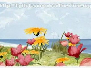 Samsung HMX-E10 Low Price