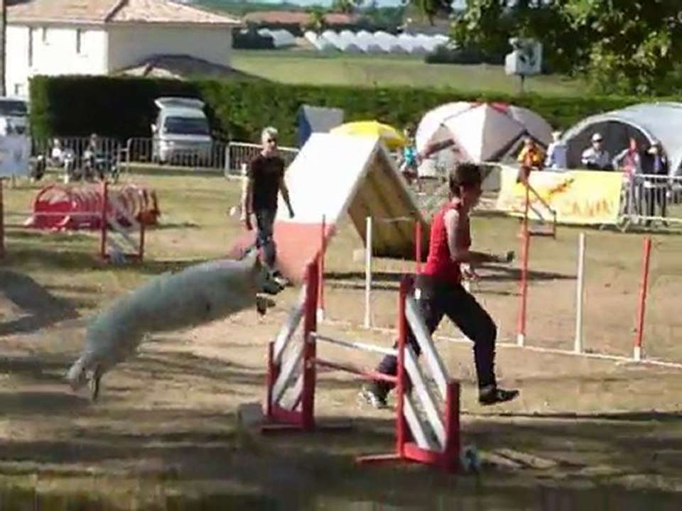 Aster - STGR Ville sous Anjou - 2eme jour agility