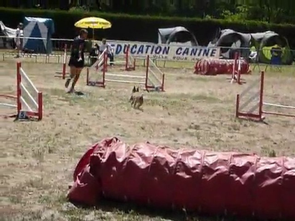 Alf - STGR Ville sous Anjou - 2eme jour jumping
