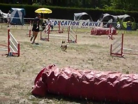 Alf - STGR Ville sous Anjou - 2eme jour jumping