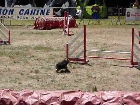 Bambou - STGR Ville sous Anjou - 2eme jour jumping