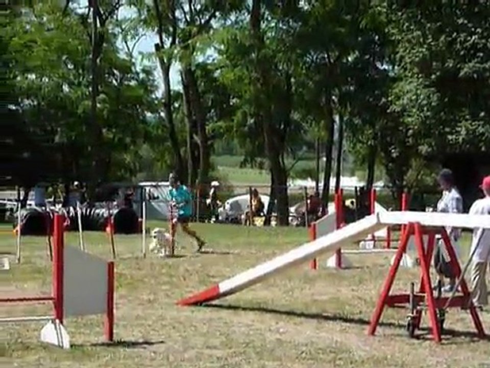 Bianca - STGR Ville sous Anjou - 2eme jour agility