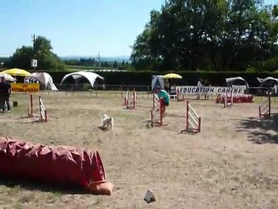 Bianca - STGR Ville sous Anjou - 2eme jour jumping