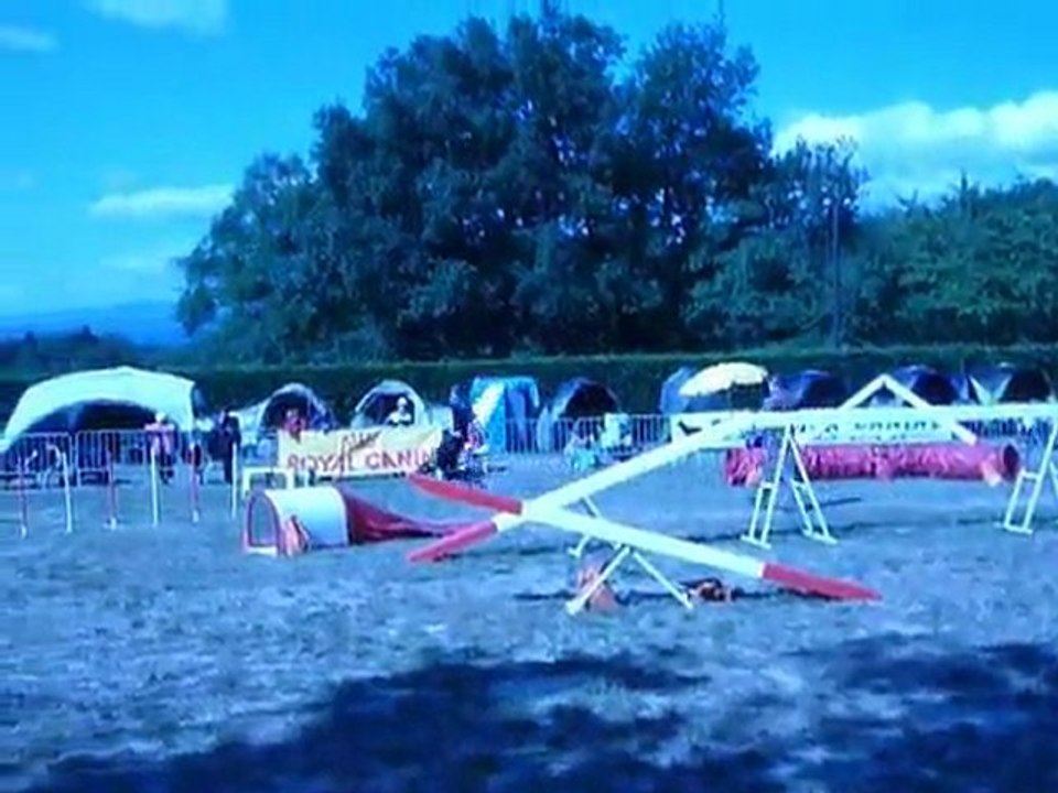 Brownie - STGR Ville sous Anjou - 1er jour agility