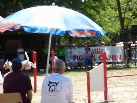 Daisy - STGR Ville sous Anjou - 2eme jour jumping