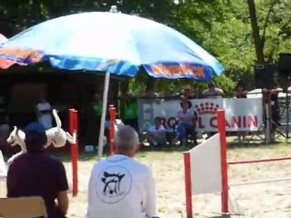 Daisy - STGR Ville sous Anjou - 2eme jour jumping