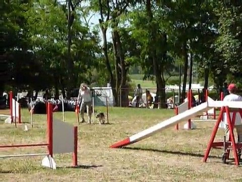 Dana - STGR Ville sous Anjou - 2eme jour agility