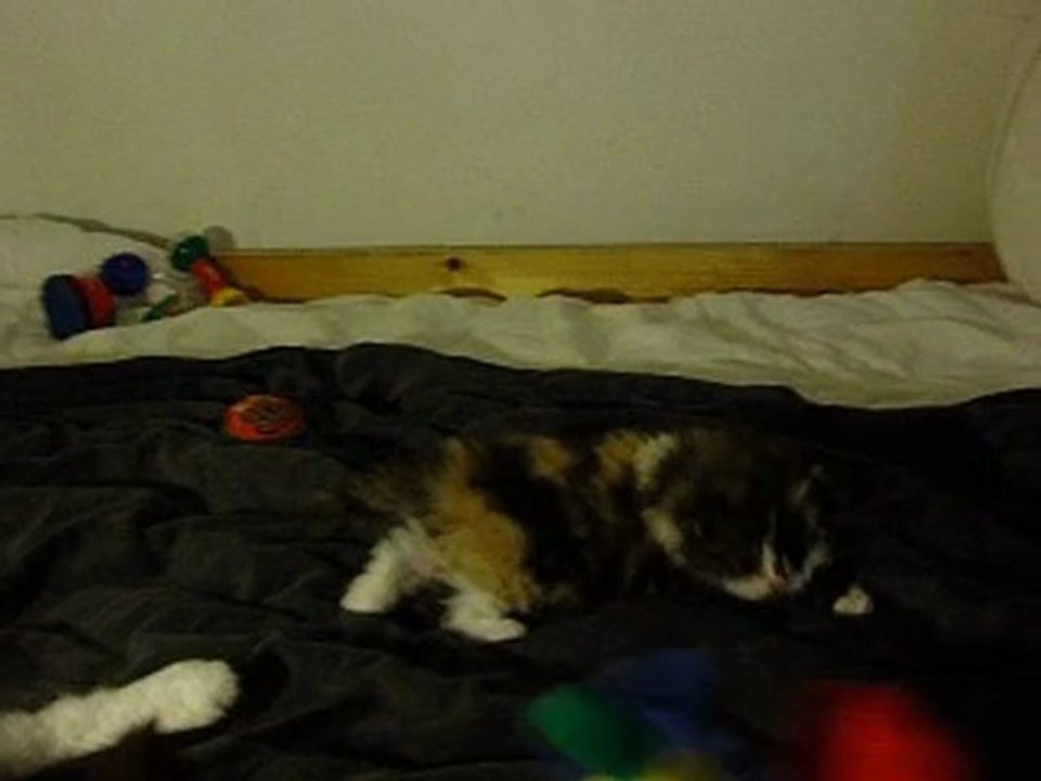 2galatee-1-06-2011-3semaines