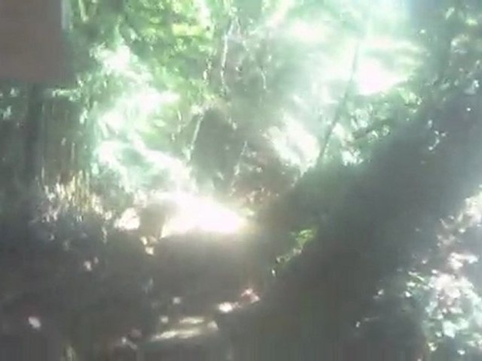 HDDV0031