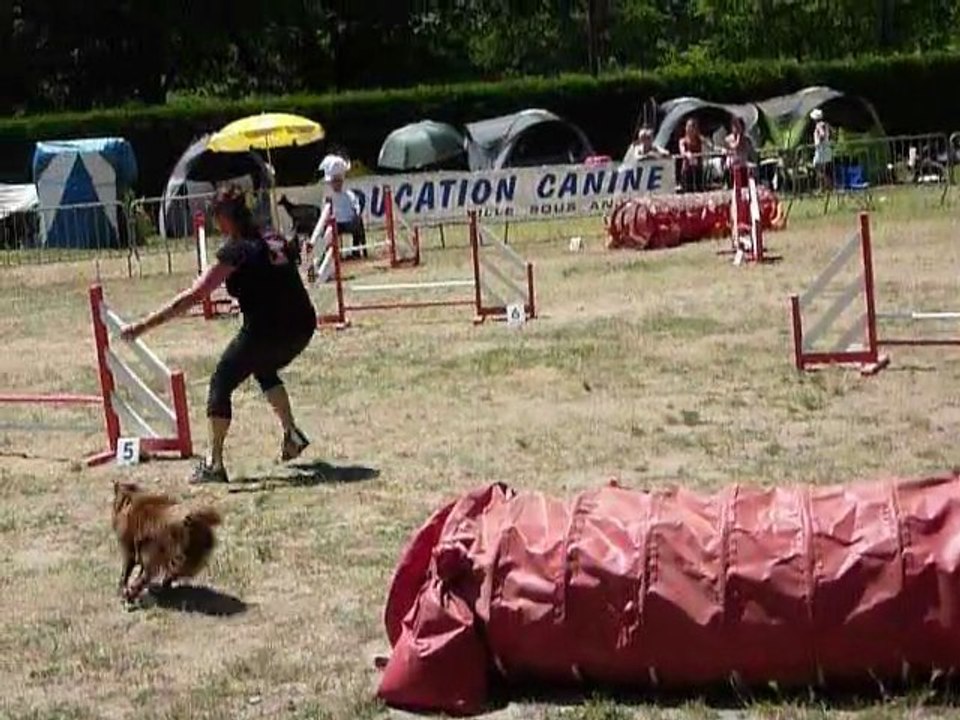 Domino - STGR Ville sous Anjou - 2eme jour jumping