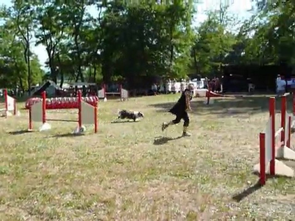 Sunny - STGR Ville sous Anjou - 1er jour jumping